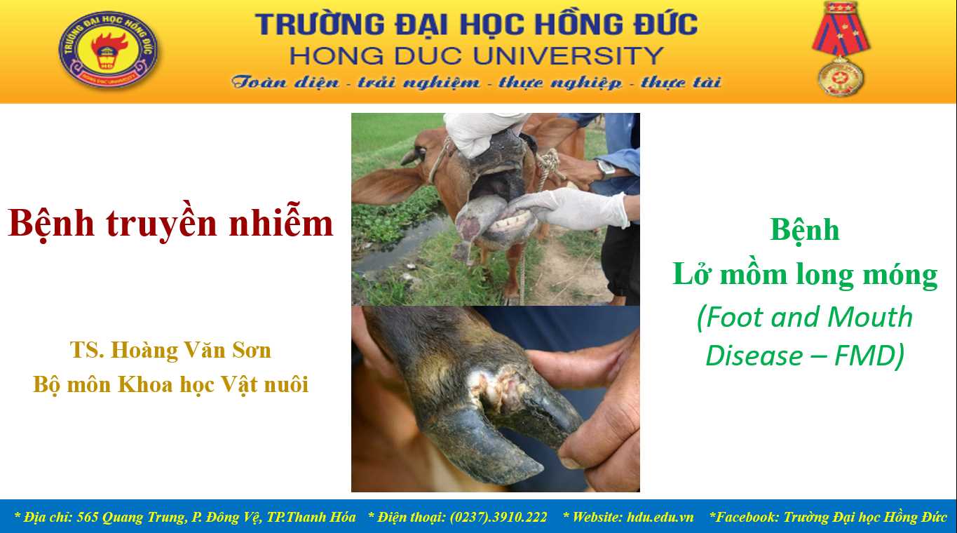 CẢNH BÁO NGUY CƠ XÂM NHẬP VIRUS LỞ MỒM LONG MÓNG SEROTYPE SAT1 VÀO VIỆT NAM